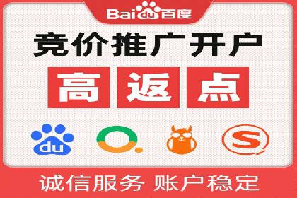 低成本高回报：百度竞价代理成功案例分析